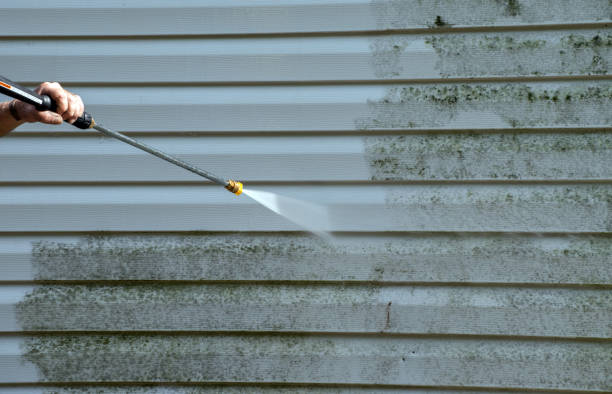 Best Sidewalk and Walkway Cleaning  in Mountain Iron, MN